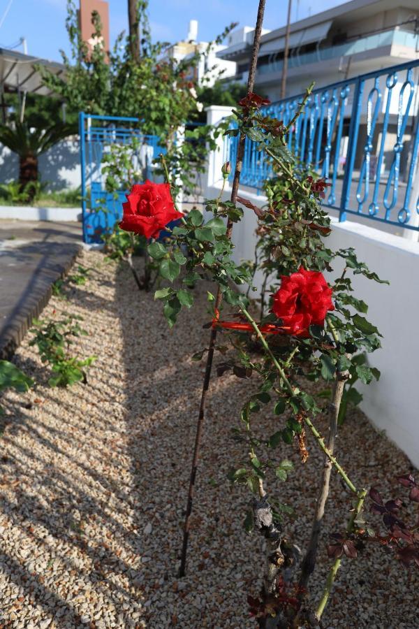 Traditional Town Garden Apartment Rhodes City Kültér fotó